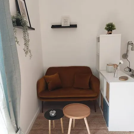 Entierement Equipe Avec Balcon Et Acces Jardin بيربينيو